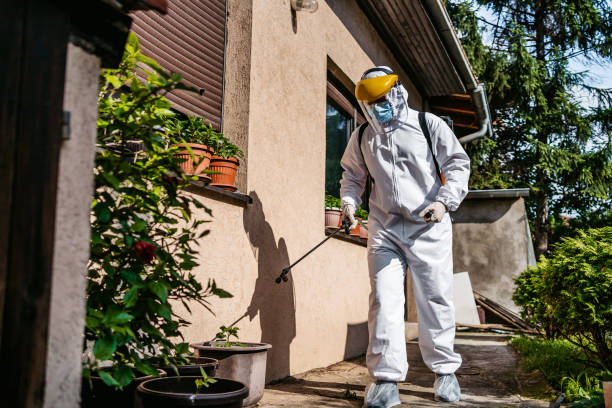 Best Residential Pest Control  in Las Vegas, NV