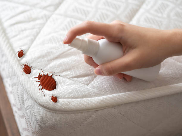 Best Pest Prevention Services  in Las Vegas, NV