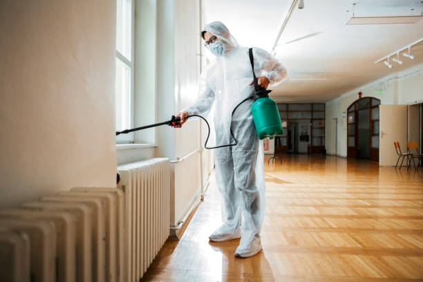 Best Pest Control Near Me  in Las Vegas, NV